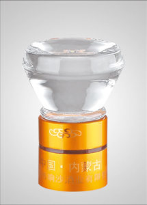 玻璃蓋-010  